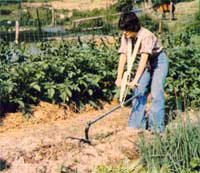 The Straddler Makes Gardening Easier Image